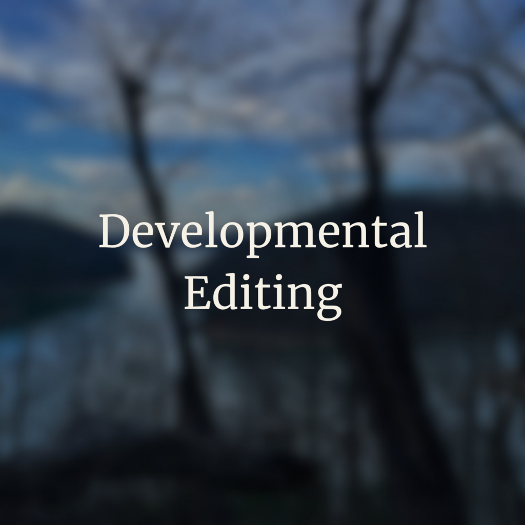 developmental editing