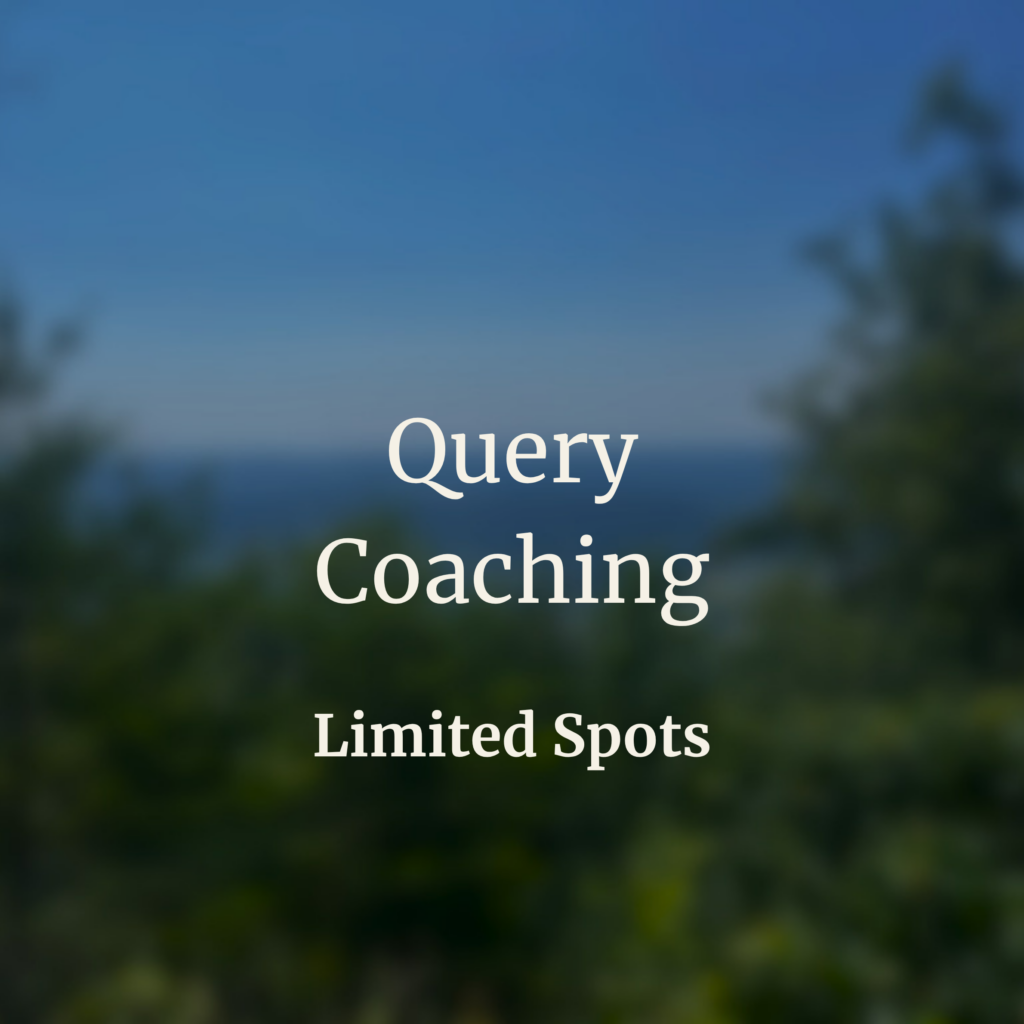 query coaching